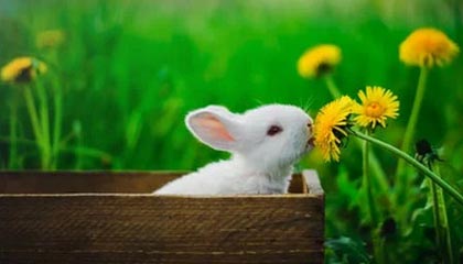 fb体育网站-广州富力与广州城市德比大战中收获胜利，广州富力首发阵容