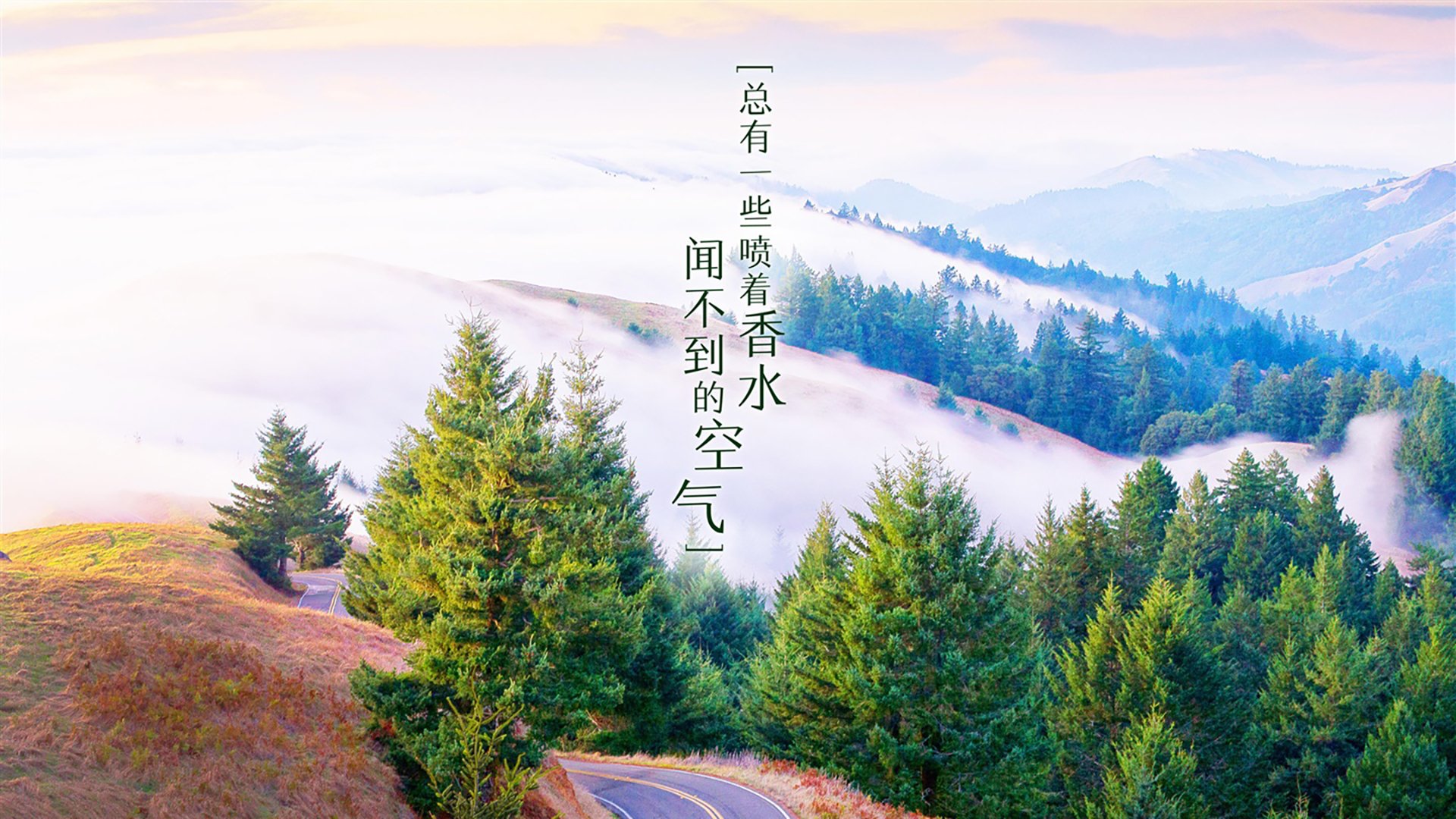 勒沃库森球员发挥抢眼，破门得分协助获胜，勒沃库森走出的球星