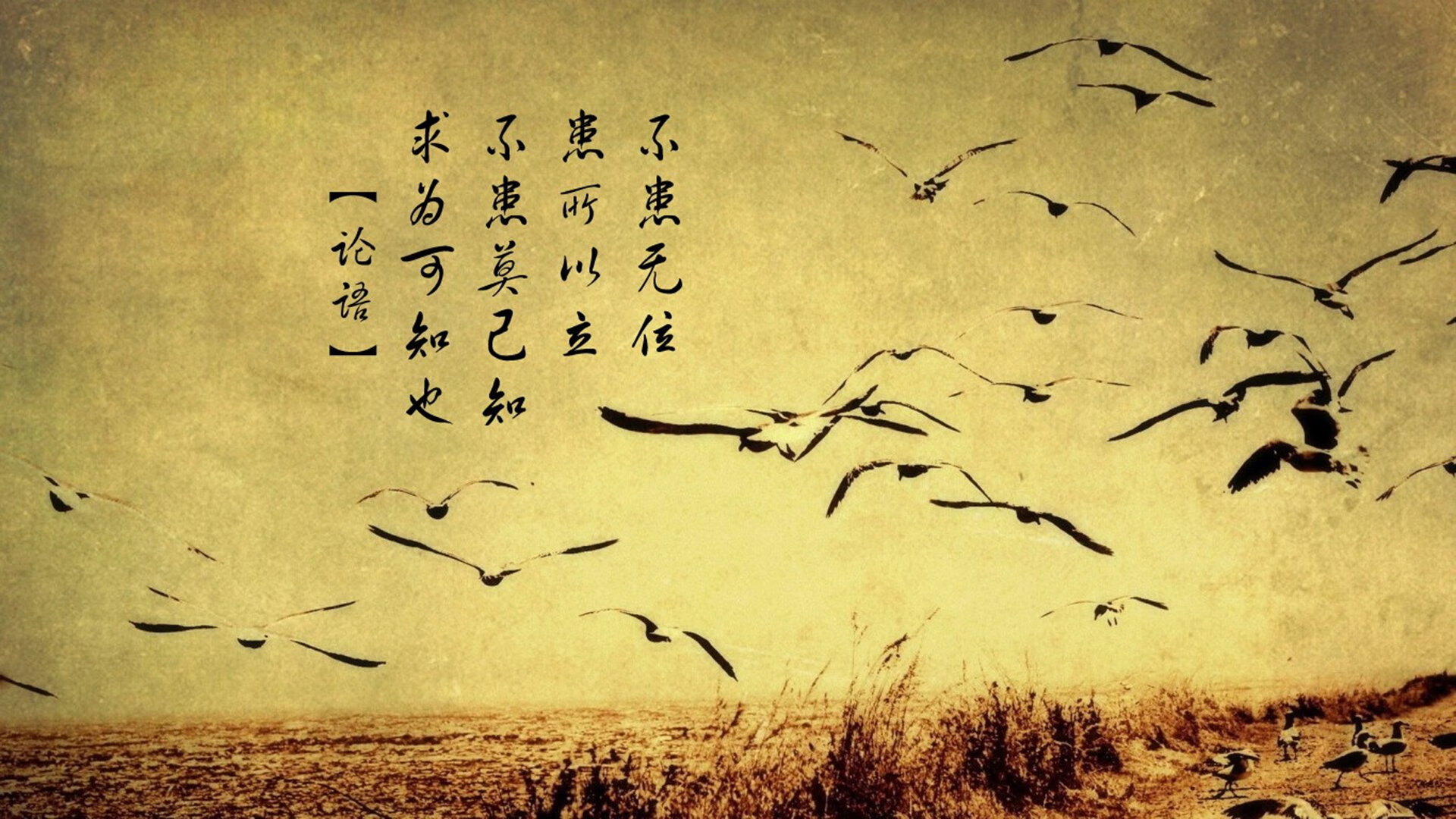 欧洲杯变阵奇迹：策划、调整中的精彩瞬间，欧洲杯阵出炉