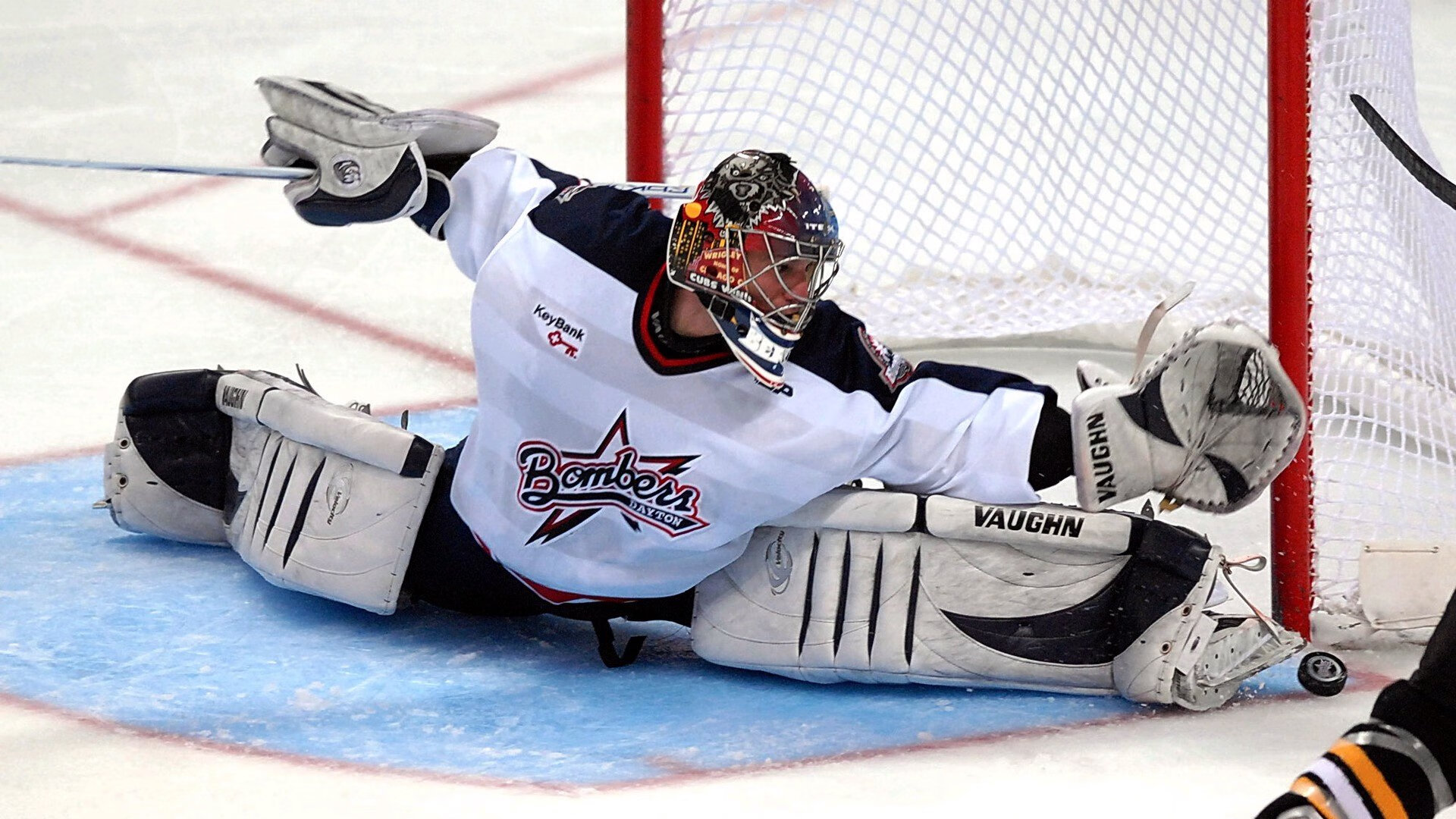 _骑士队新兵表现神勇，助力队伍前行_，骑士队新人